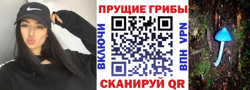 Галлюциногенные грибы мицелий  где найти   Горбатов 